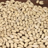 Raw Blanched Peanuts (1 lb)